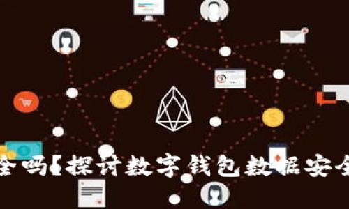 TP钱包删除安全吗?探讨数字钱包数据安全性与隐私保护