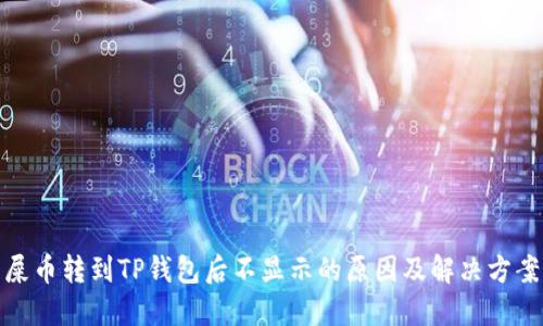 屎币转到TP钱包后不显示的原因及解决方案