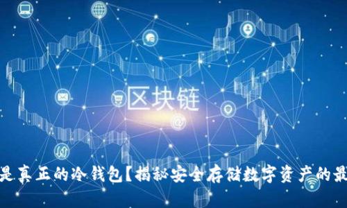 什么才是真正的冷钱包?揭秘安全存储数字资产的最佳选择