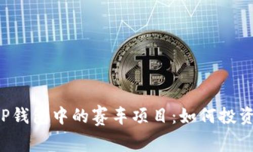 深度解析T P钱包中的赛车项目：如何投资与赚取收益