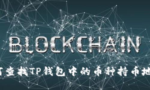 如何查找TP钱包中的币种持币地址？
