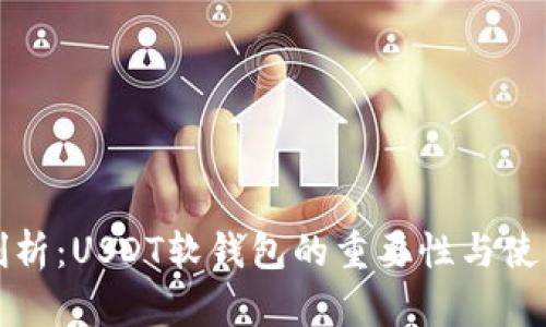 全面剖析:USDT软钱包的重要性与使用指南