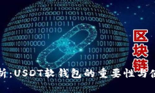 全面剖析:USDT软钱包的重要性与使用指南