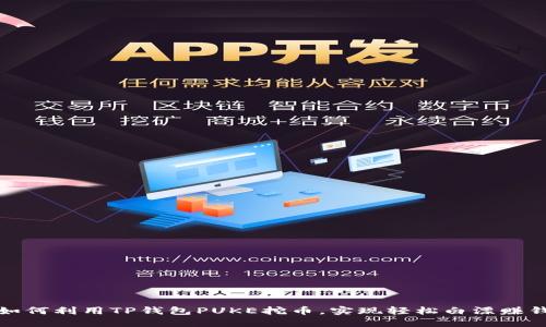 如何利用TP钱包PUKE挖币,实现轻松白漂赚钱